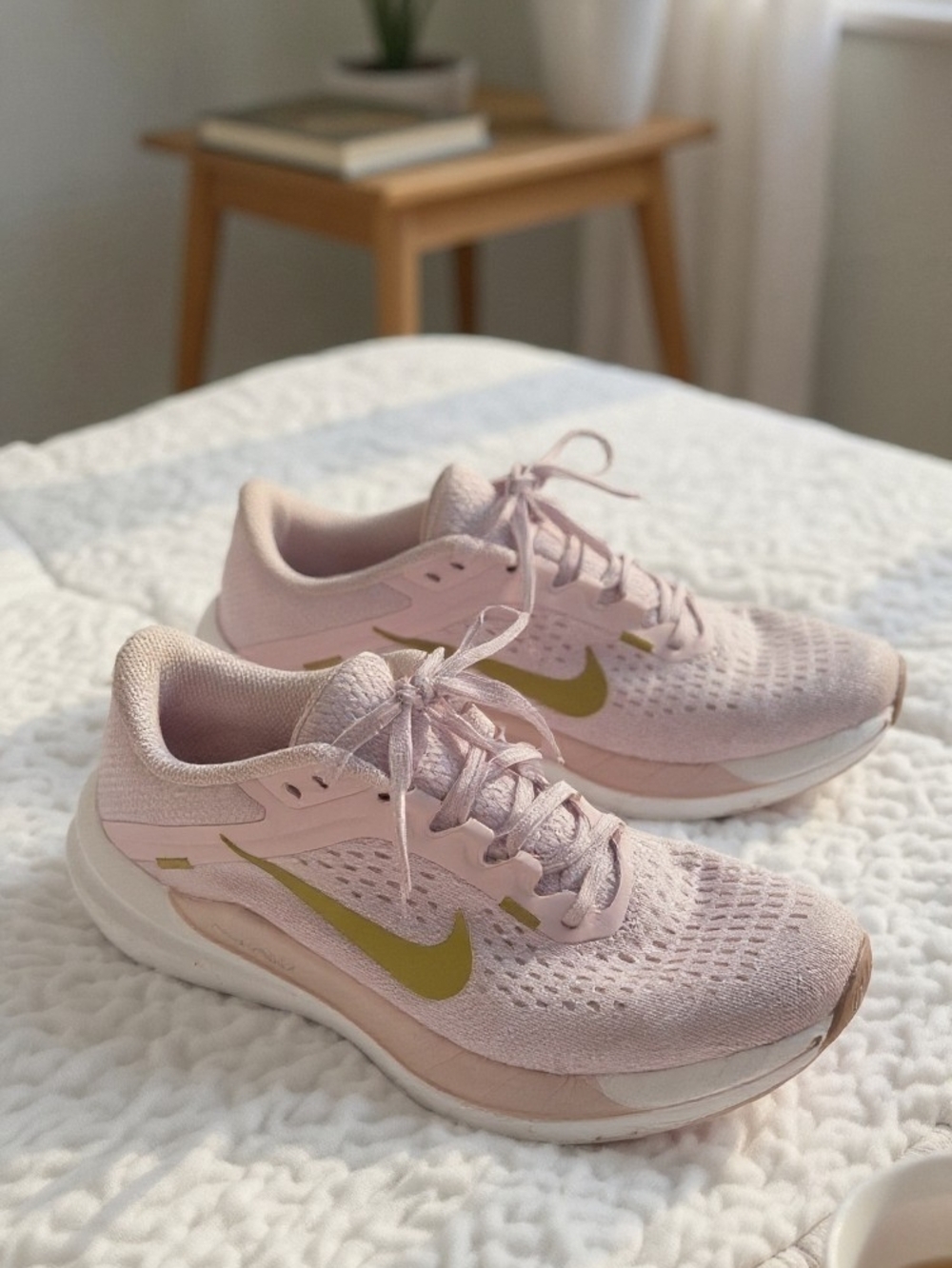 Nike Air Winflo 10 DV4023-010